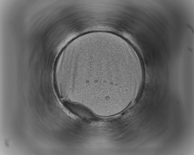 X0000102351237200808221646