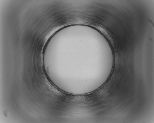 X0000102351238200808221646