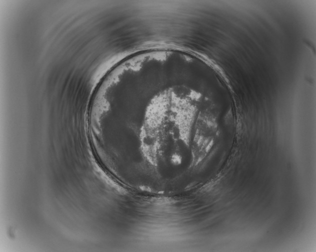 X0000102351239200808221646