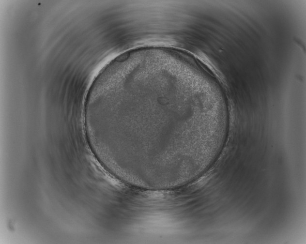 X0000102351240200808221646