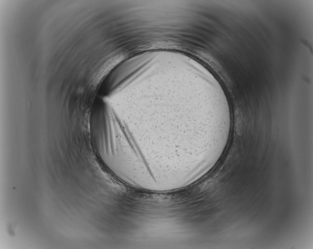 X0000102351241200808221646