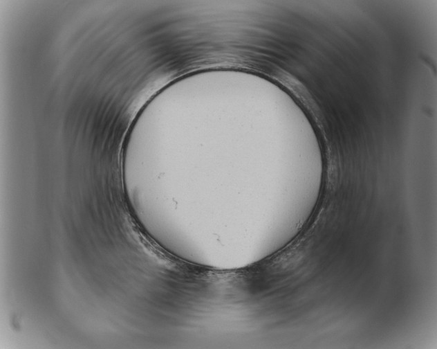 X0000102351242200808221646