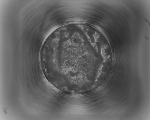 X0000102351243200808221646