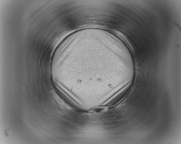 X0000102351244200808221646