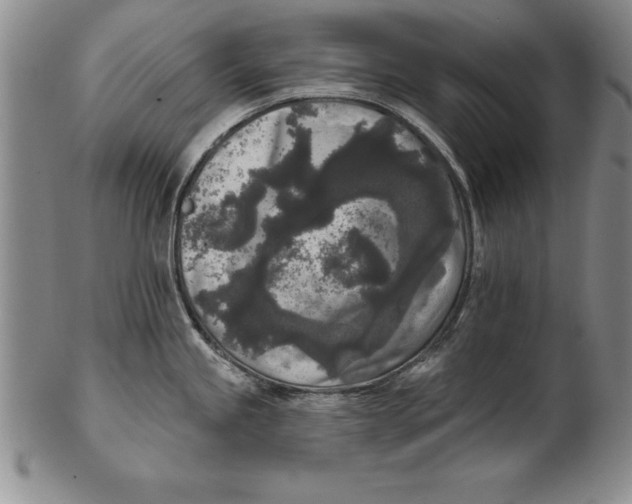 X0000102351245200808221646