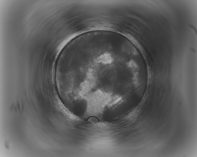 X0000102351246200808221646