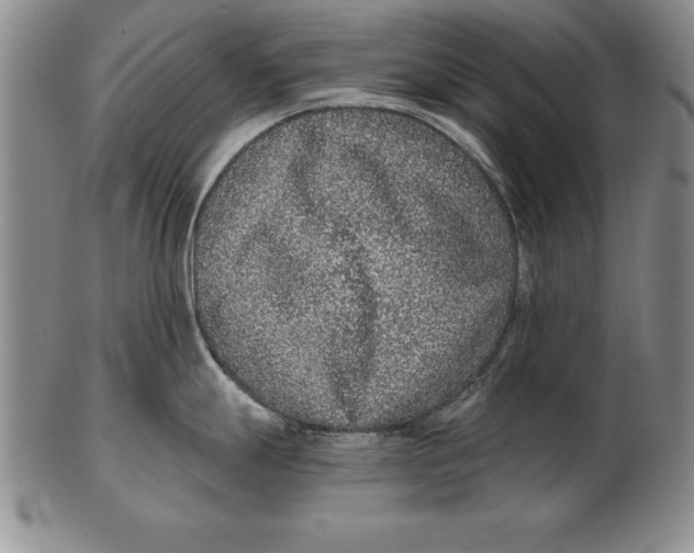 X0000102351247200808221646