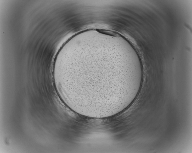 X0000102351248200808221646