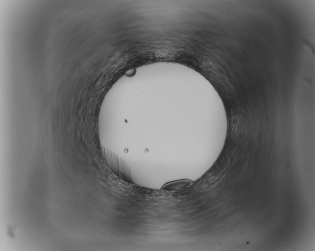 X0000102351249200808221646