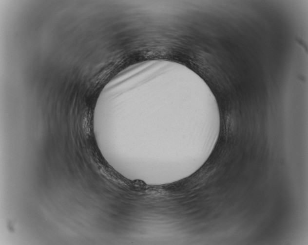 X0000102351250200808221646