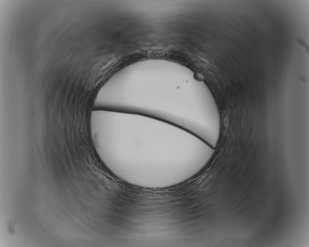 X0000102351252200808221646