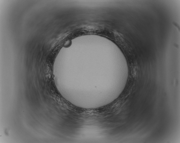 X0000102351253200808221646