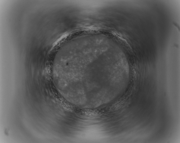 X0000102351254200808221646