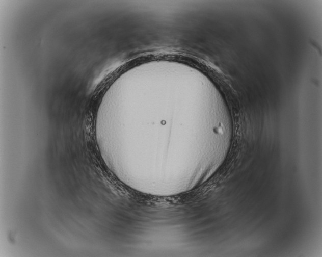 X0000102351255200808221646