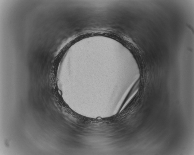 X0000102351256200808221646