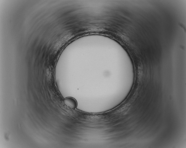 X0000102351257200808221646