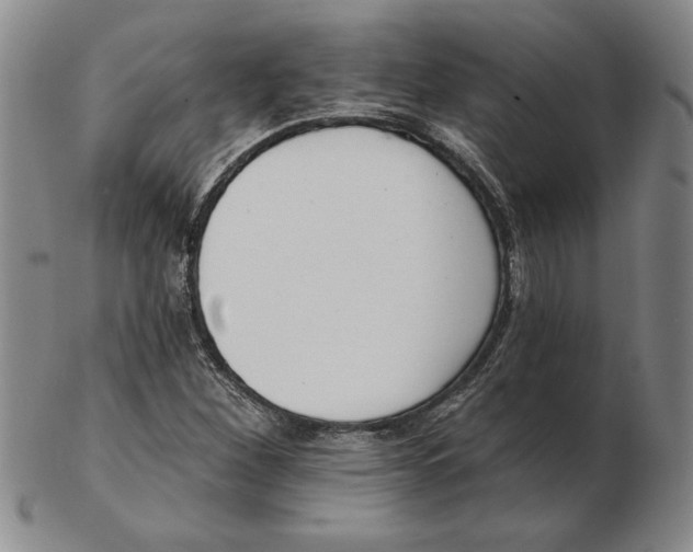 X0000102351260200808221646