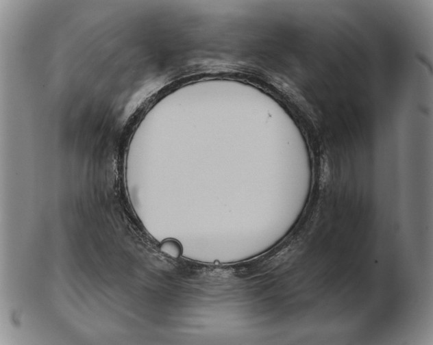 X0000102351261200808221646