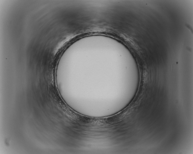 X0000102351262200808221646