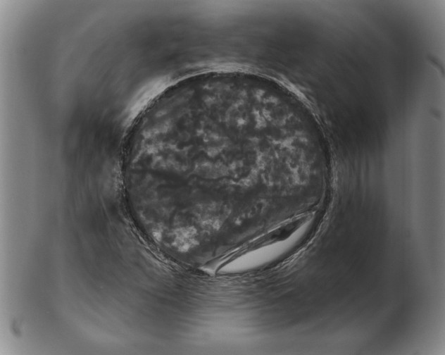 X0000102351263200808221646