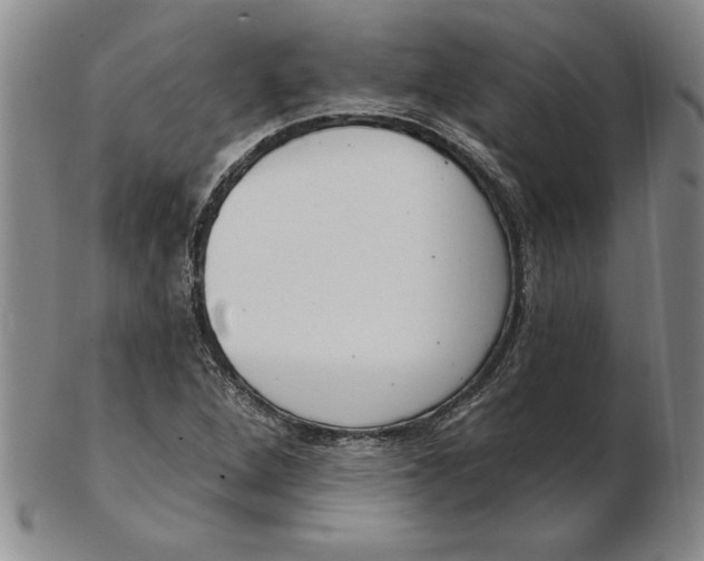 X0000102351264200808221646