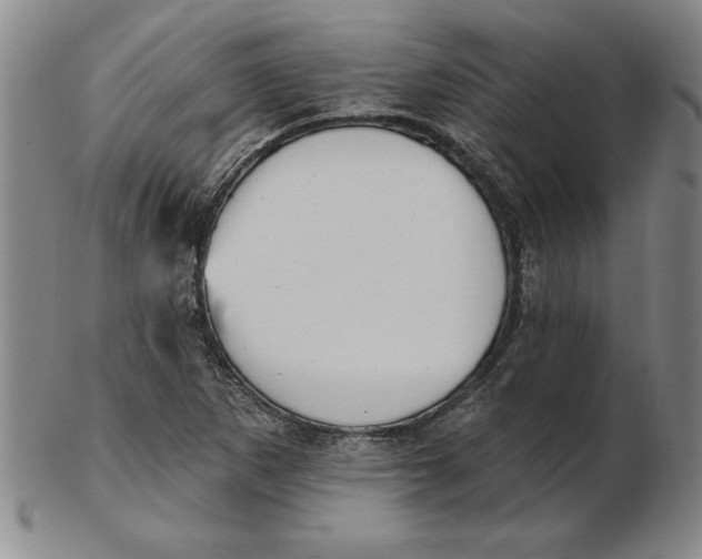 X0000102351265200808221646