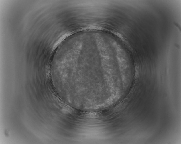 X0000102351266200808221646