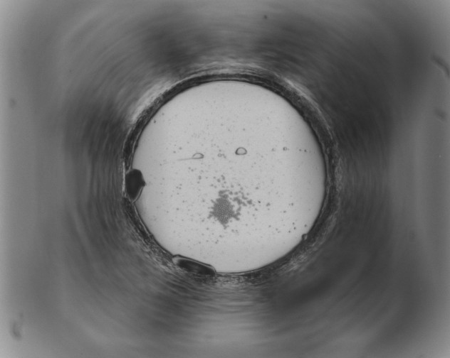 X0000102351267200808221646