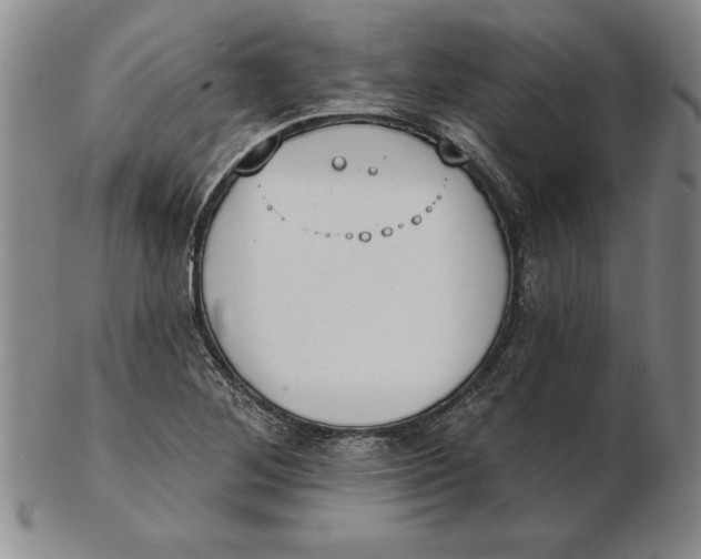 X0000102351268200808221646