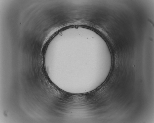 X0000102351270200808221646