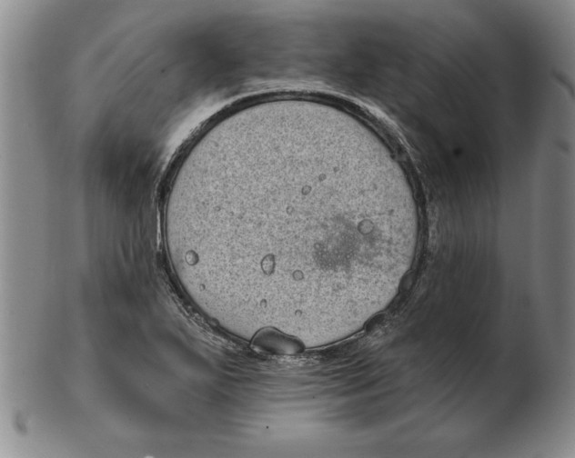 X0000102351271200808221646