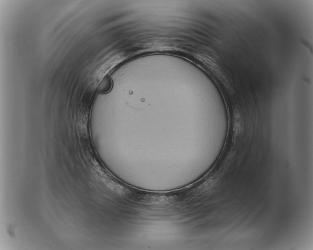 X0000102351273200808221645