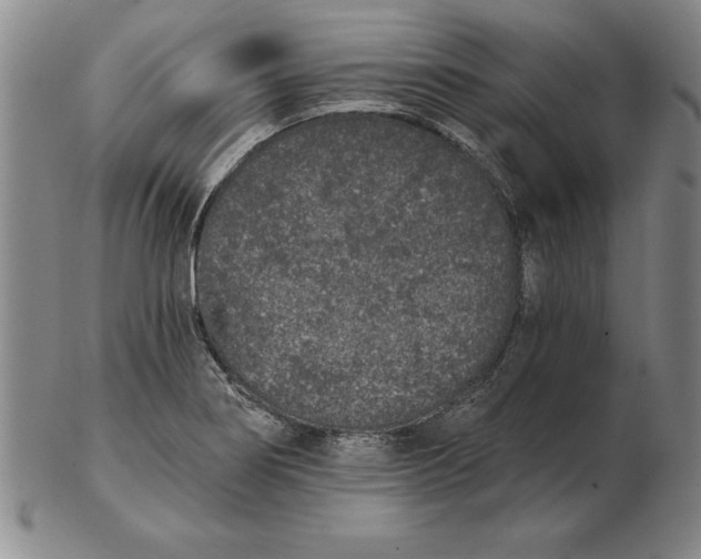 X0000102351274200808221645