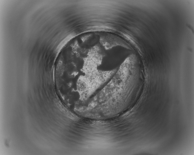 X0000102351275200808221645