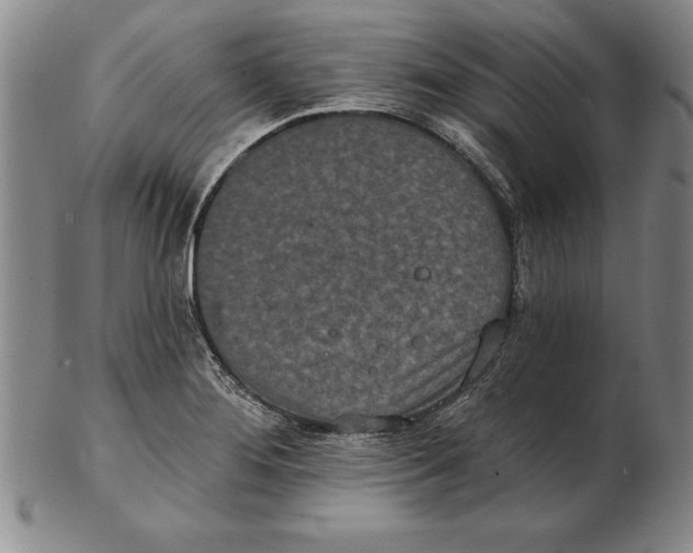 X0000102351276200808221645