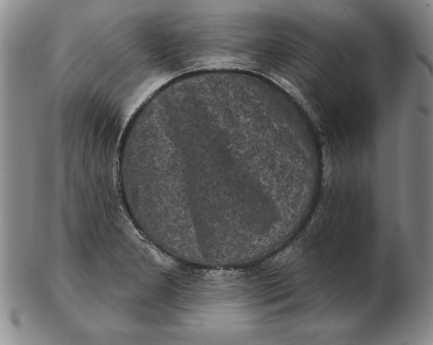 X0000102351277200808221645