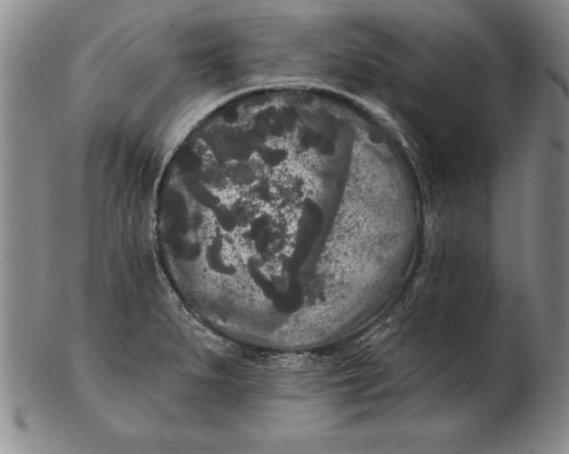 X0000102351279200808221645