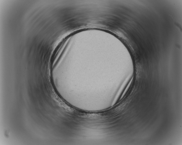 X0000102351280200808221645