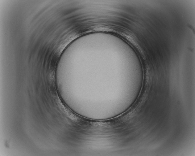 X0000102351281200808221645