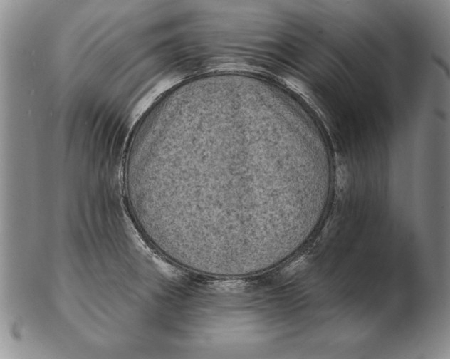 X0000102351282200808221645