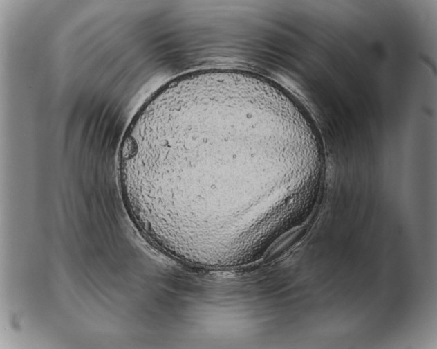 X0000102351283200808221645