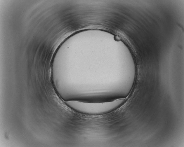 X0000102351284200808221645