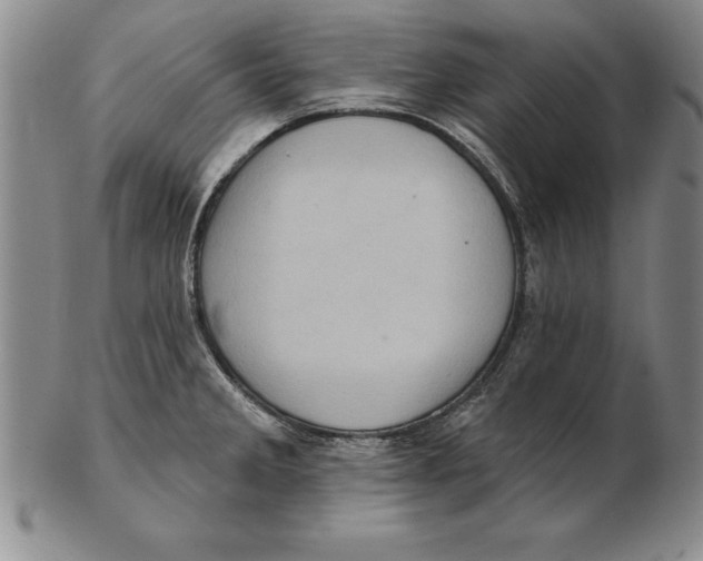 X0000102351285200808221645