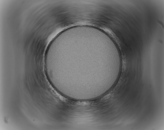 X0000102351286200808221645