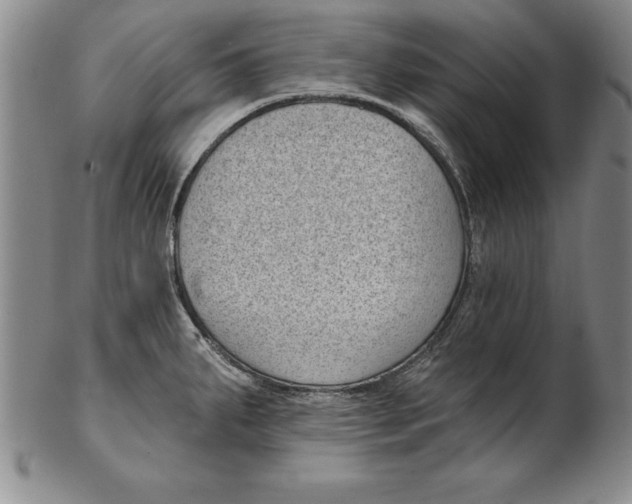 X0000102351287200808221645