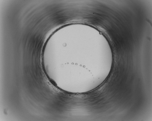 X0000102351288200808221645