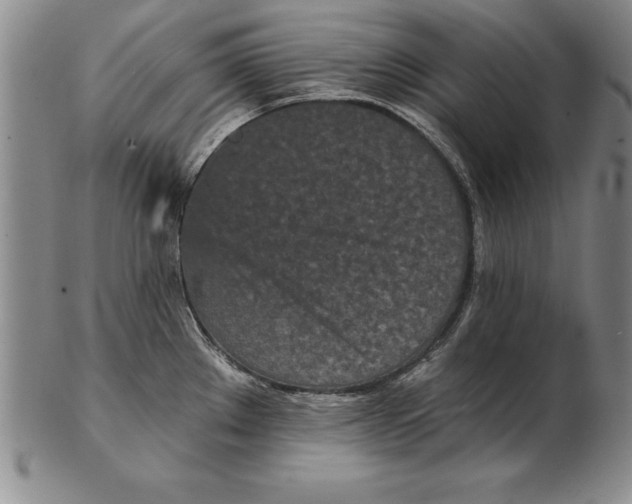 X0000102351289200808221645