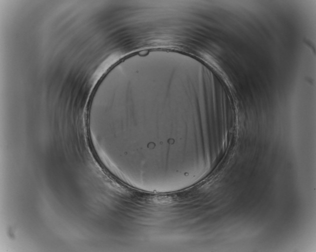 X0000102351291200808221645