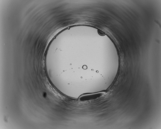 X0000102351292200808221645