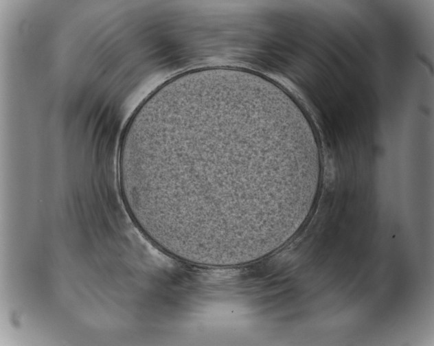 X0000102351294200808221645